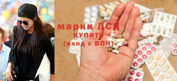 прущие грибы Алзамай