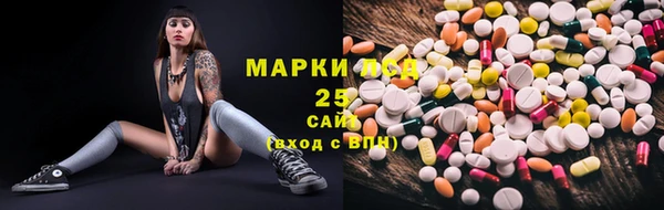 прущие грибы Алзамай