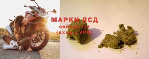 ГАЛЛЮЦИНОГЕННЫЕ ГРИБЫ Алексеевка