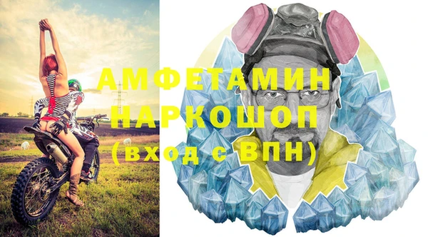 прущие грибы Алзамай