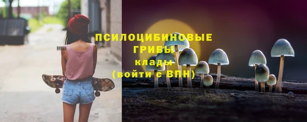 прущие грибы Алзамай