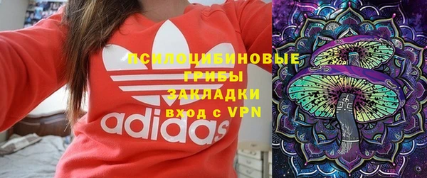 прущие грибы Алзамай