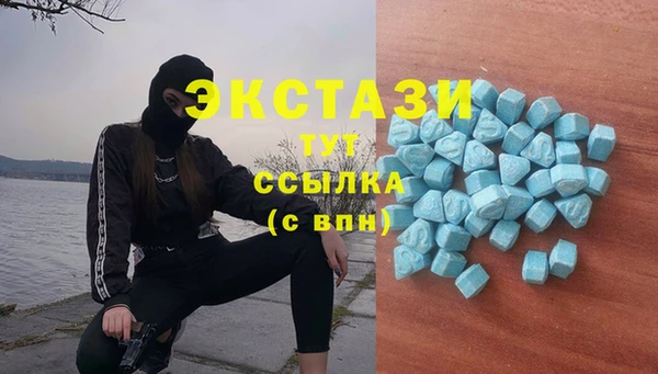 прущие грибы Алзамай