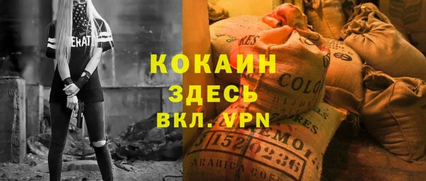 прущие грибы Алзамай