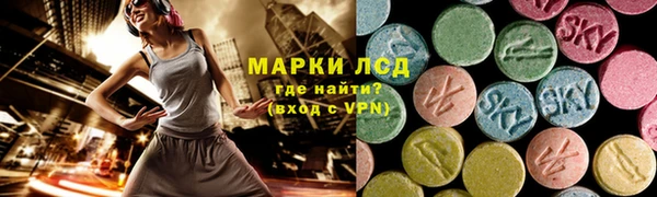 прущие грибы Алзамай