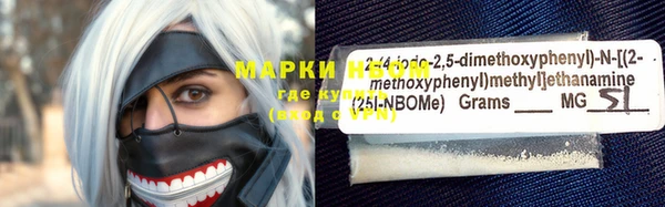 прущие грибы Алзамай