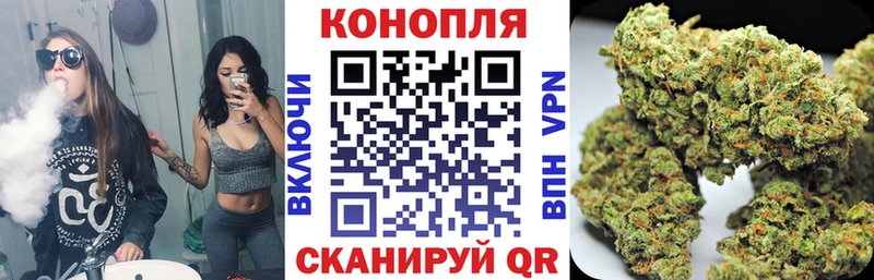 Бошки марихуана ГИДРОПОН Пущино